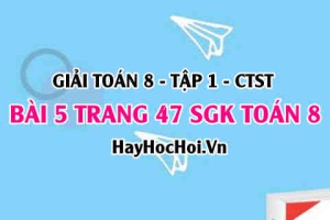 Giải bài 5 trang 47 Toán 8 Tập 1 SGK Chân trời sáng tạo